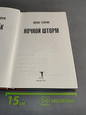 Ночной шторм