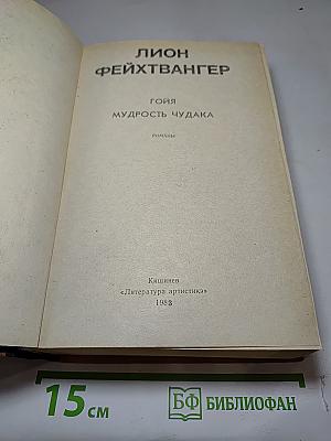 Гойя. Мудрость чудака. Романы