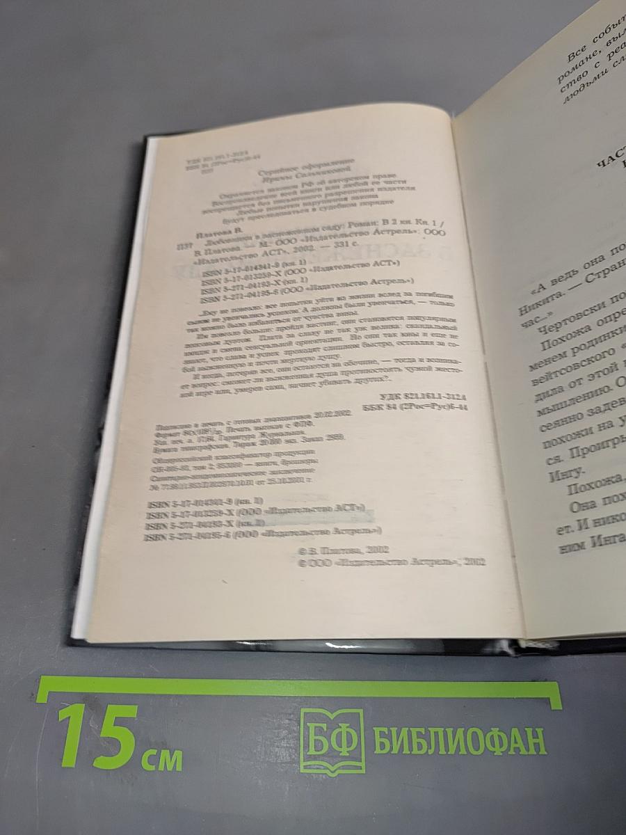 Любовники в заснеженном саду. Книга 1