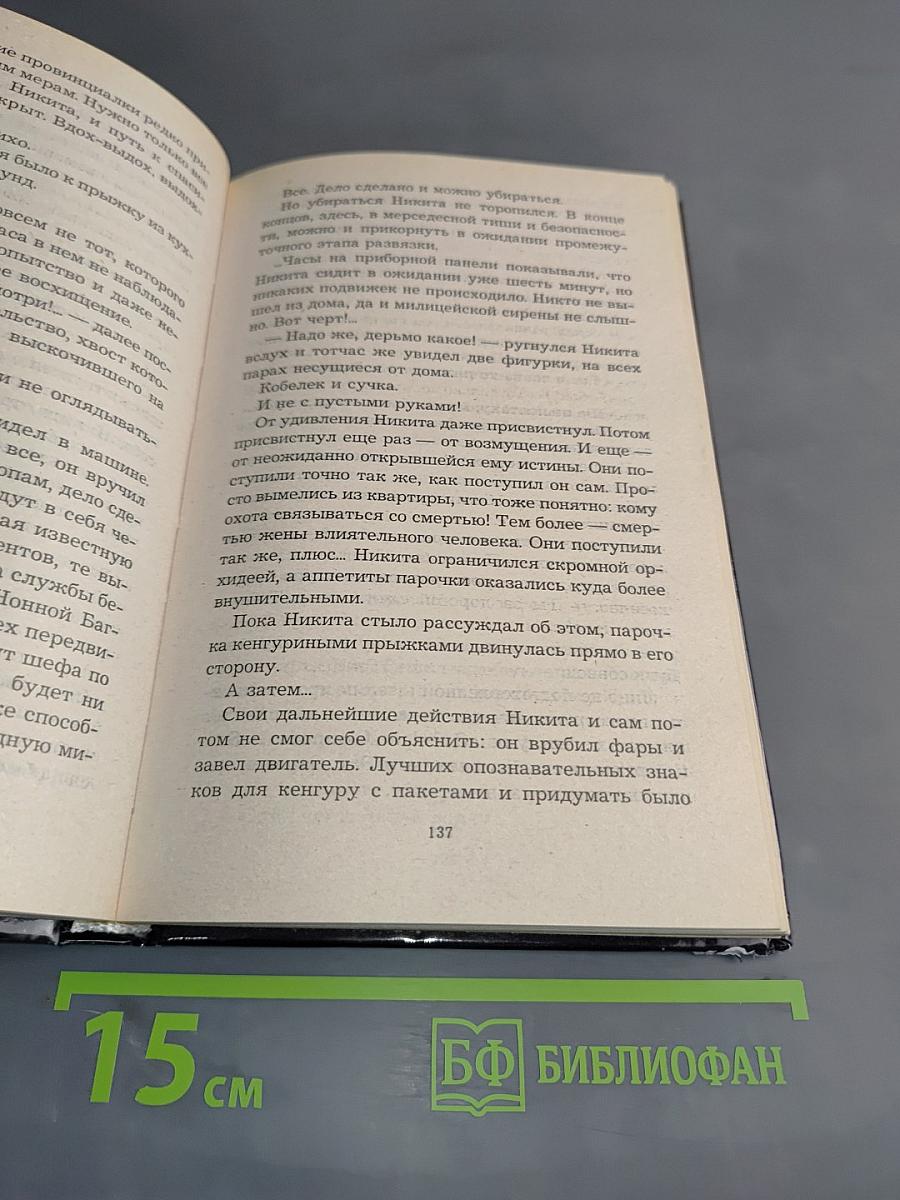 Любовники в заснеженном саду. Книга 1