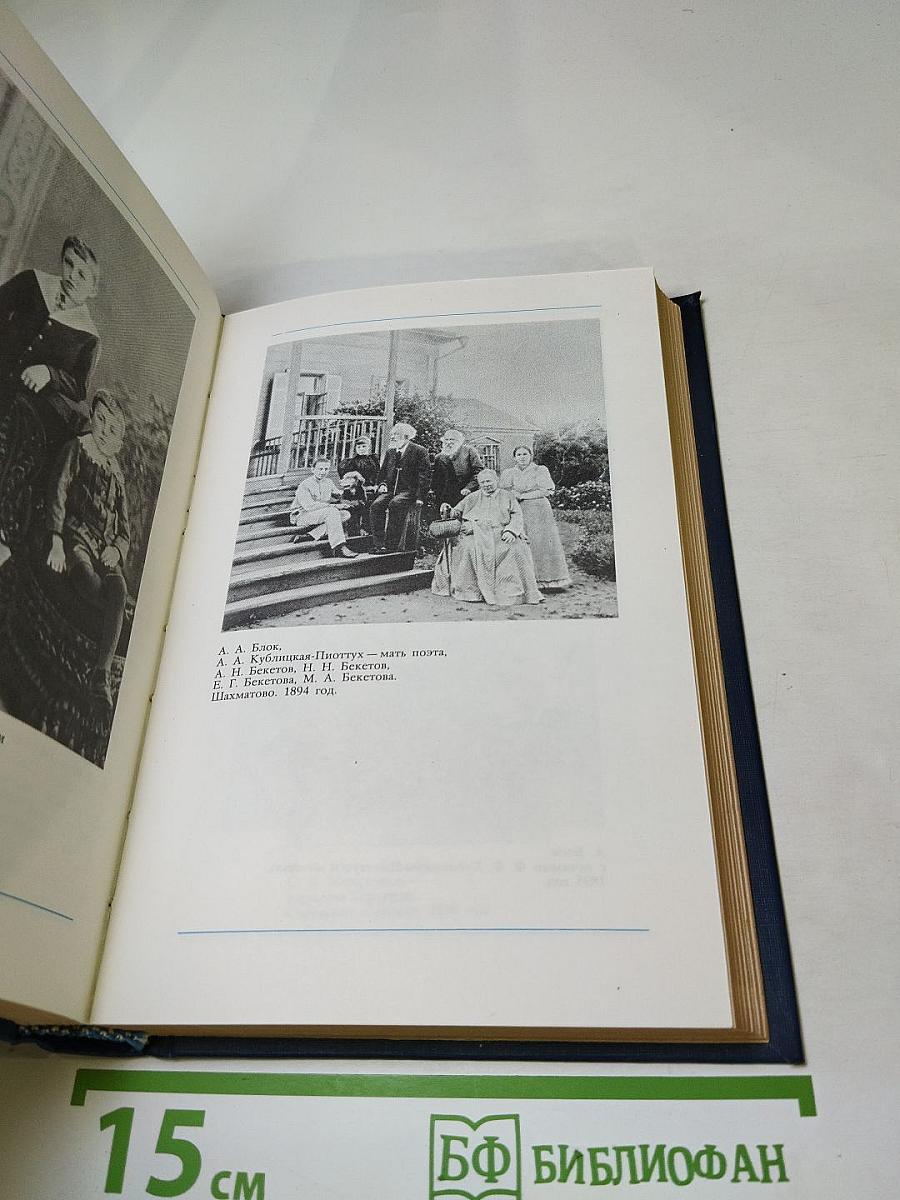 Я лучшей доли не искал... Судьба Александра Блока в письмах, дневниках, воспоминаниях