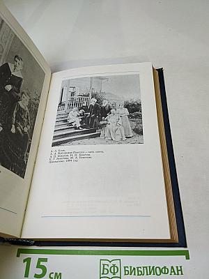 Я лучшей доли не искал... Судьба Александра Блока в письмах, дневниках, воспоминаниях