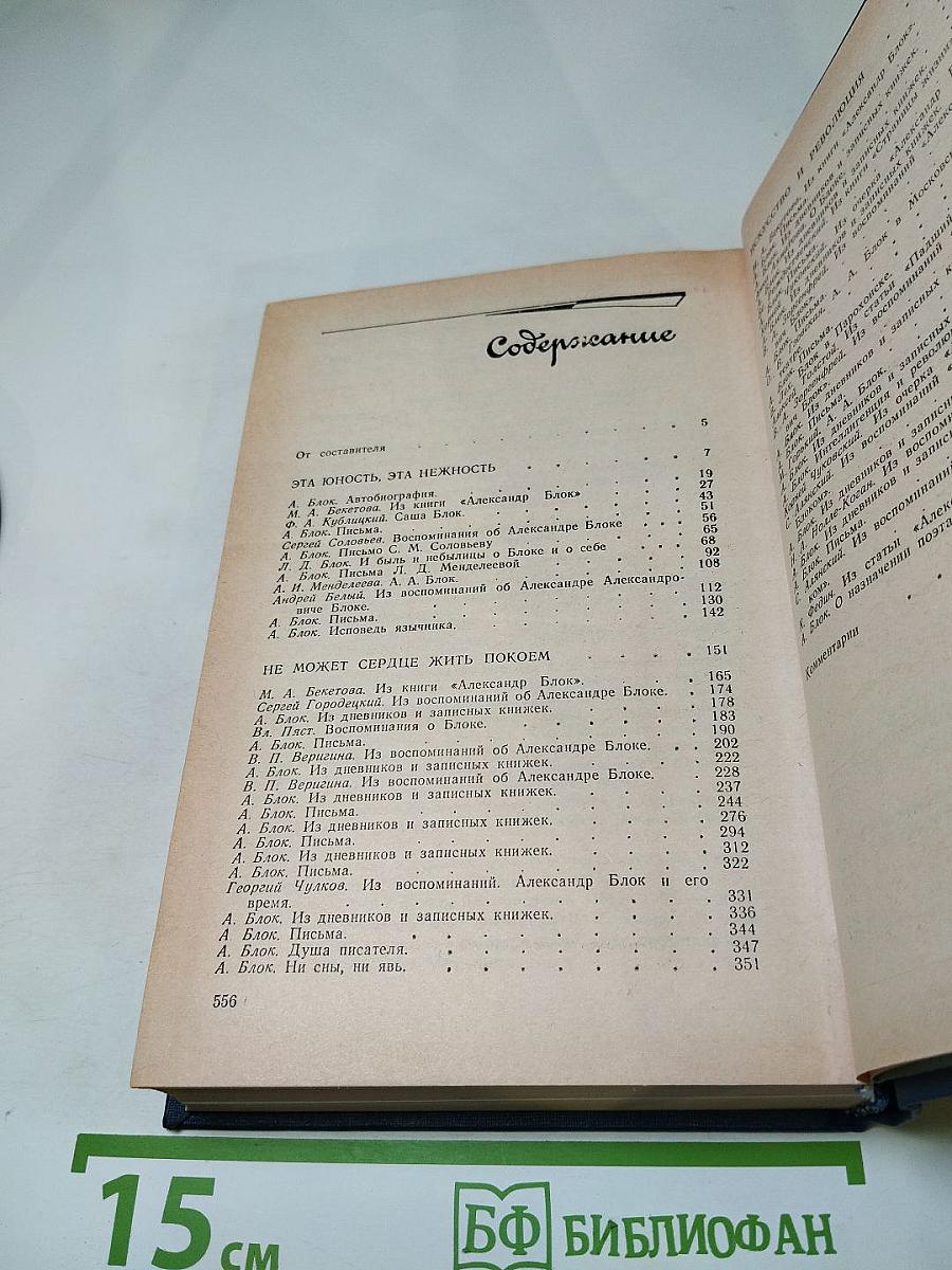 Я лучшей доли не искал... Судьба Александра Блока в письмах, дневниках, воспоминаниях