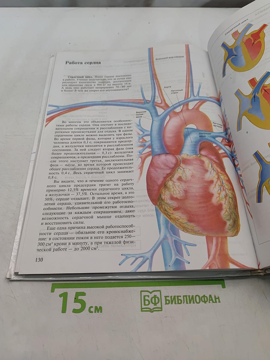 Биология. Человек. 8 класс