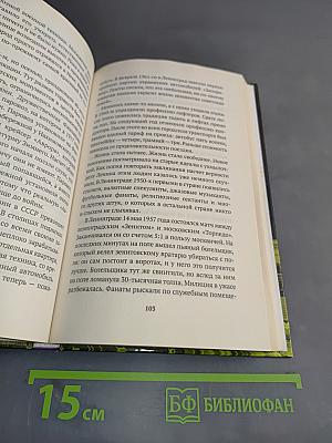 Ключи от Петербурга. От Гумилева до Гребенщикова за тысячу шагов