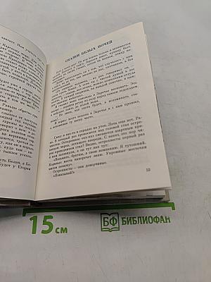 Сторона озера Безымянного