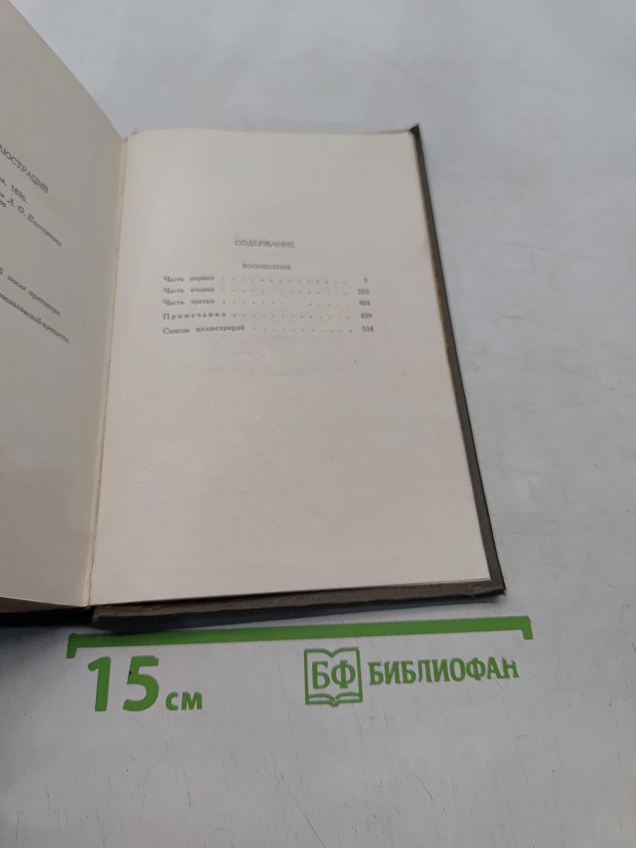 Собрание сочинений. Том тринадцатый. Воскресенье