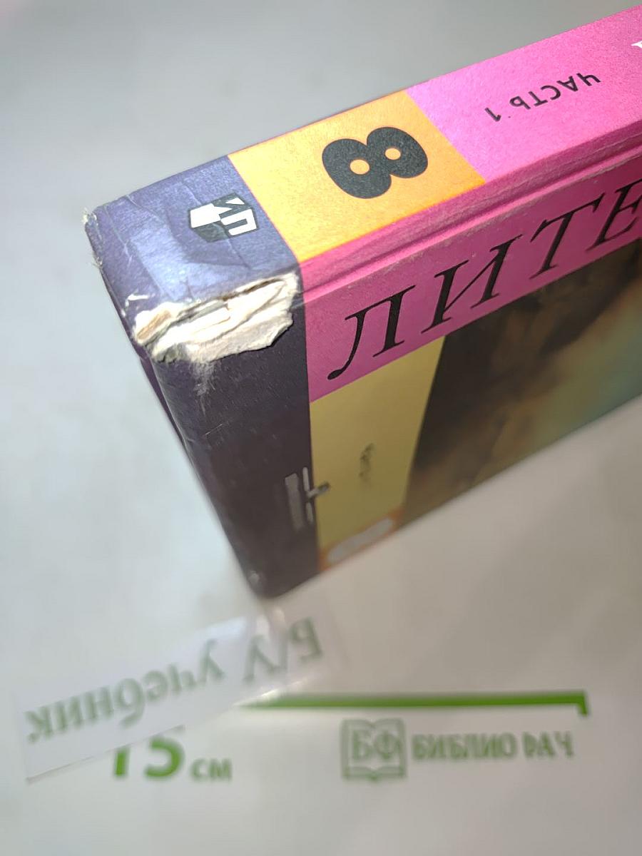 Литература, 8 класс, Часть 1