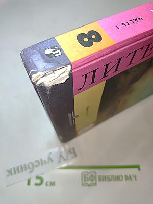 Литература, 8 класс, Часть 1