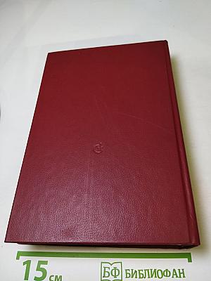 Полководец. Повесть