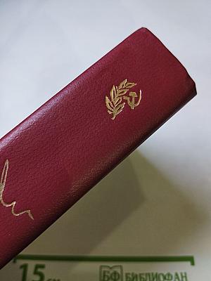 Полководец. Повесть