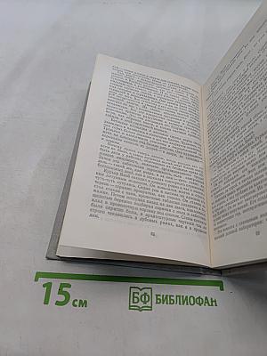 Цемент