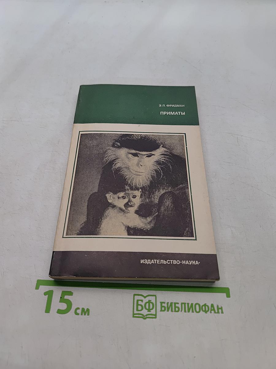 Приматы