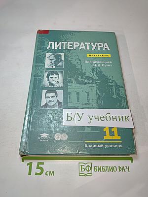 Литература. Практикум. 11 класс (базовый уровень)
