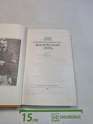 Воскресный день