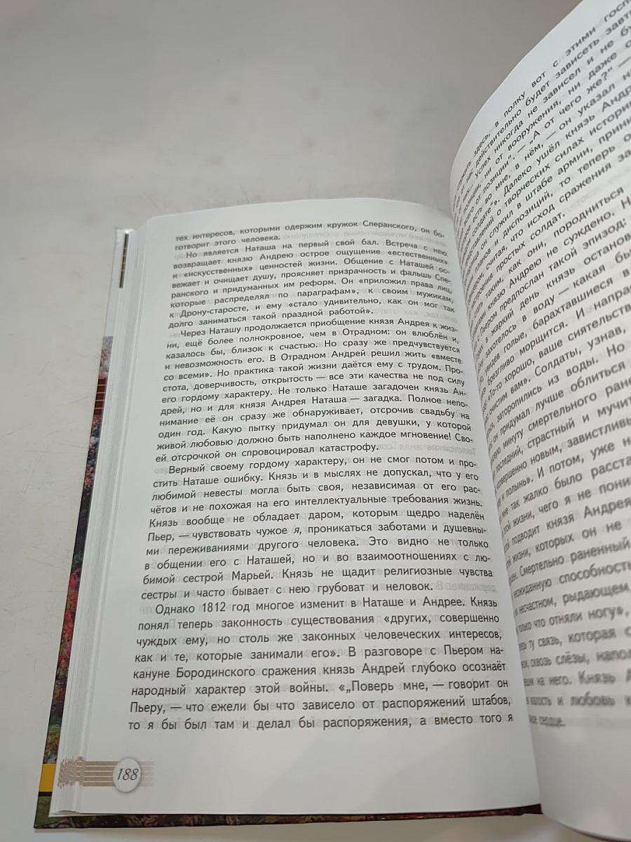 Русский язык и литература. Литература. 10 класс. Часть 2