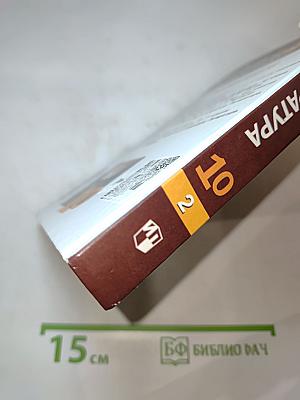 Русский язык и литература. Литература. 10 класс. Часть 2