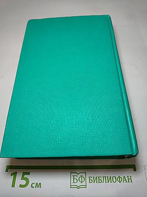 Петербургские трущобы