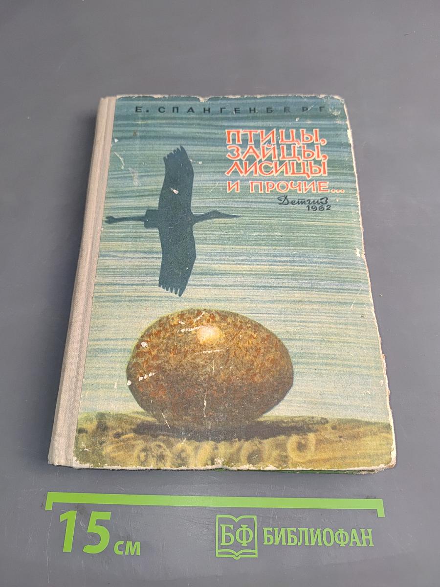 Птицы, зайцы, лисицы и прочие...