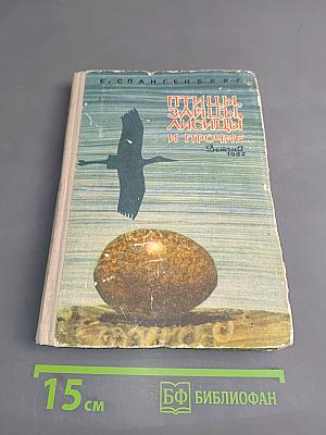 Птицы, зайцы, лисицы и прочие...