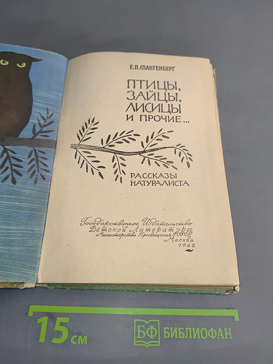 Птицы, зайцы, лисицы и прочие...