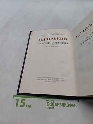 Собрание сочинений в тридцати томах. Том 21. Жизнь Клима Самгина