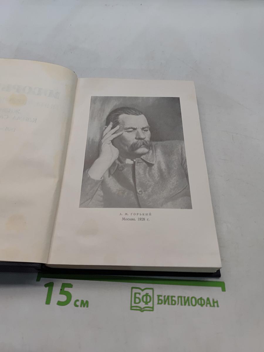 Собрание сочинений в тридцати томах. Том 21. Жизнь Клима Самгина