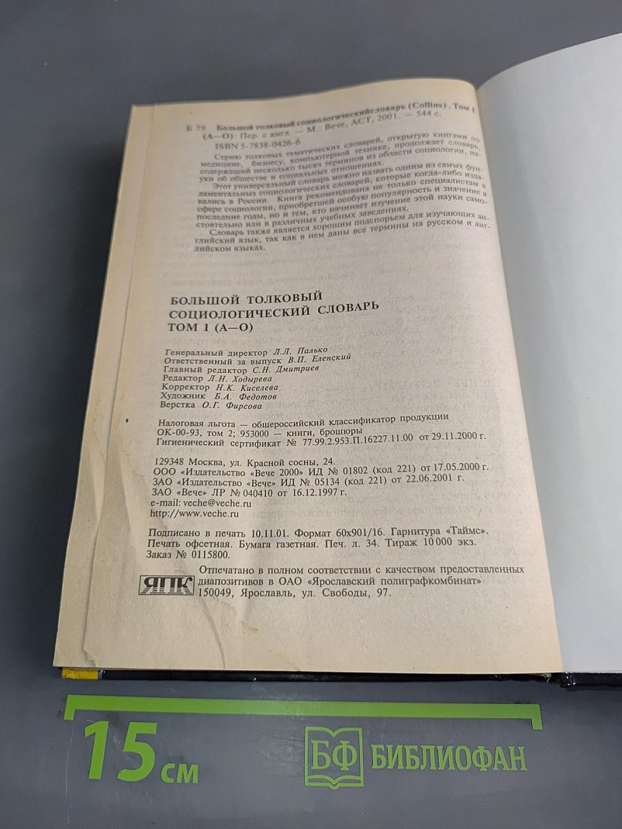 Большой толковый социологический словарь. Том 1 (А-О)