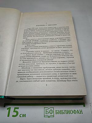 Петербургские трущобы