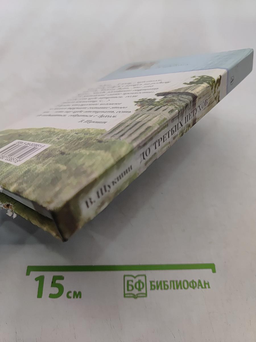 До третьих петухов. Рассказы и повесть