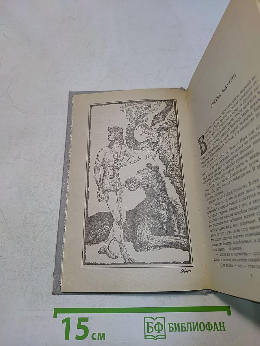 Книги джунглей в Горной Индии