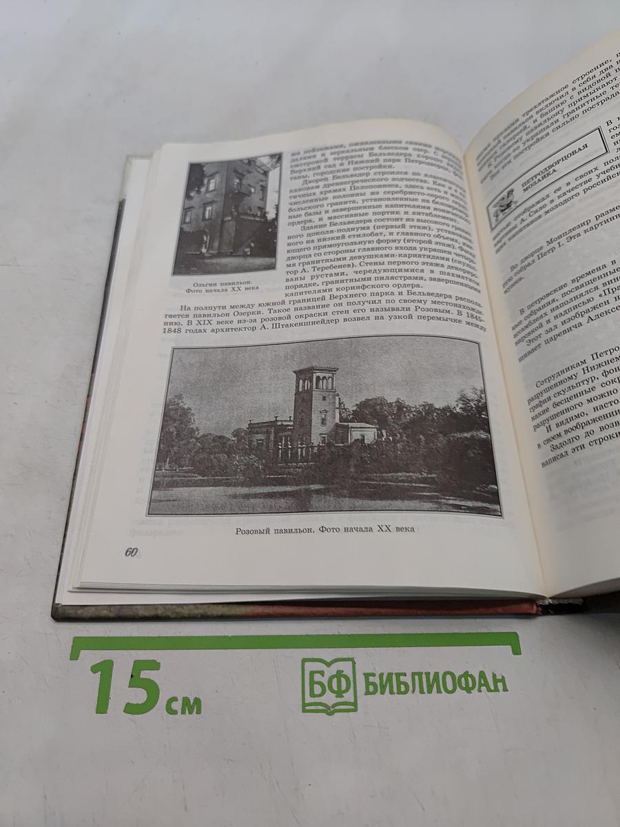Пригороды Санкт-Петербурга: Вопросы и ответы