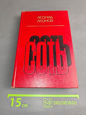 Соть