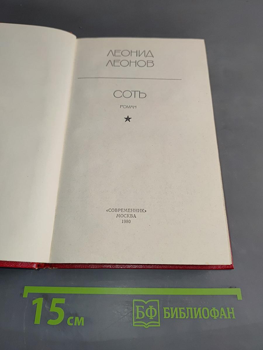 Соть