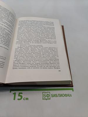 Маленький лорд. Темные источники. Теперь ему не уйти