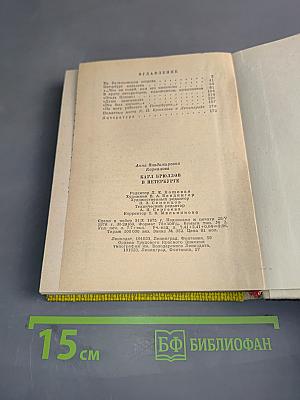 Карл Брюллов в Петербурге