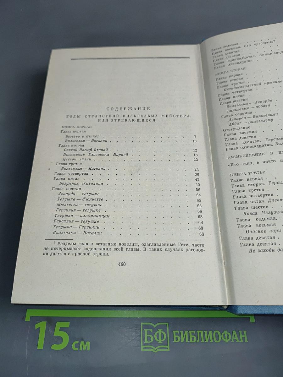 Собрание сочинений. Том восьмой. Годы странствий Вильгельма Мейстера, или Отрекающиеся