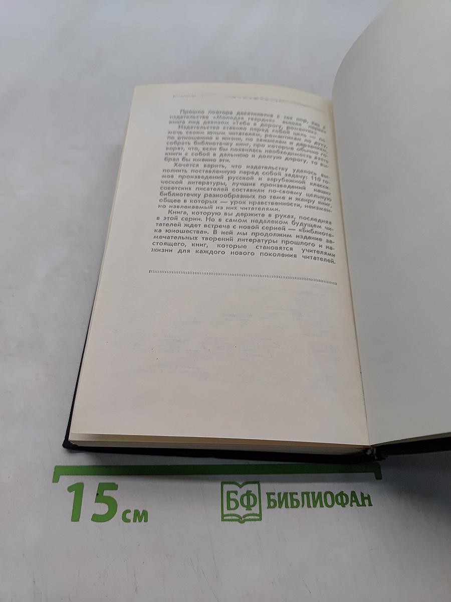 ...К нам едет ревизор