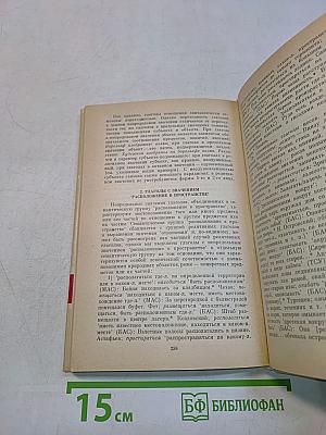 Слово и грамматические законы языка: Глагол
