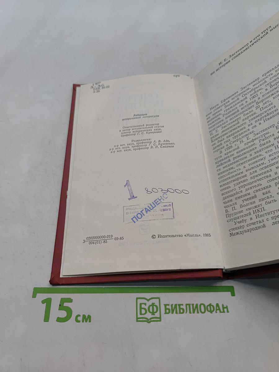 Очерки истории социалистической мысли