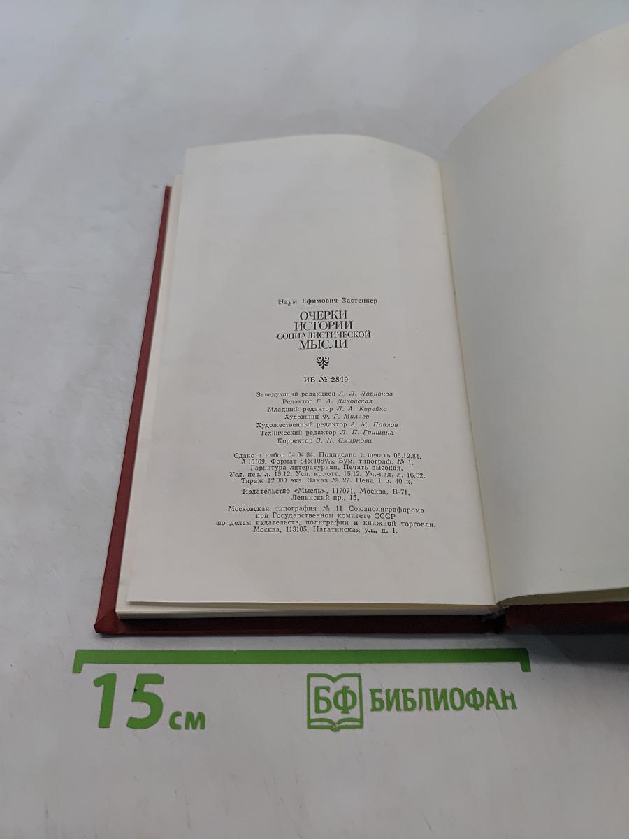 Очерки истории социалистической мысли