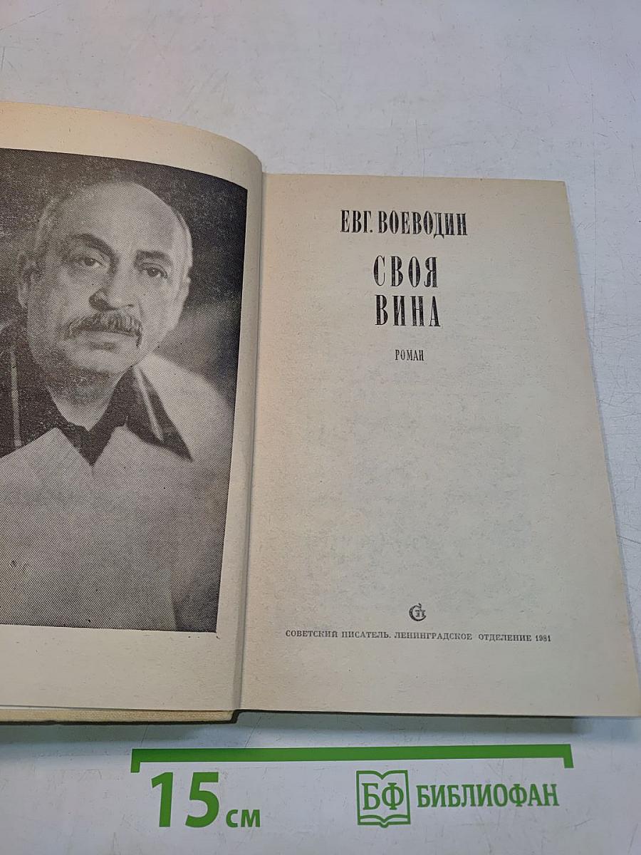 Своя вина