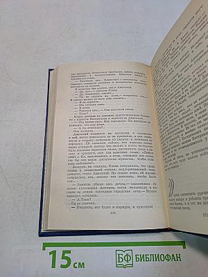 Вечные хлопоты. Книга первая