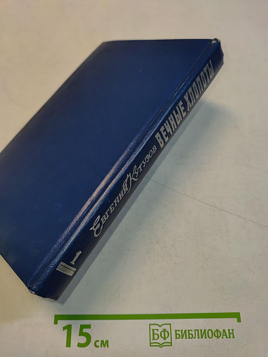 Вечные хлопоты. Книга первая