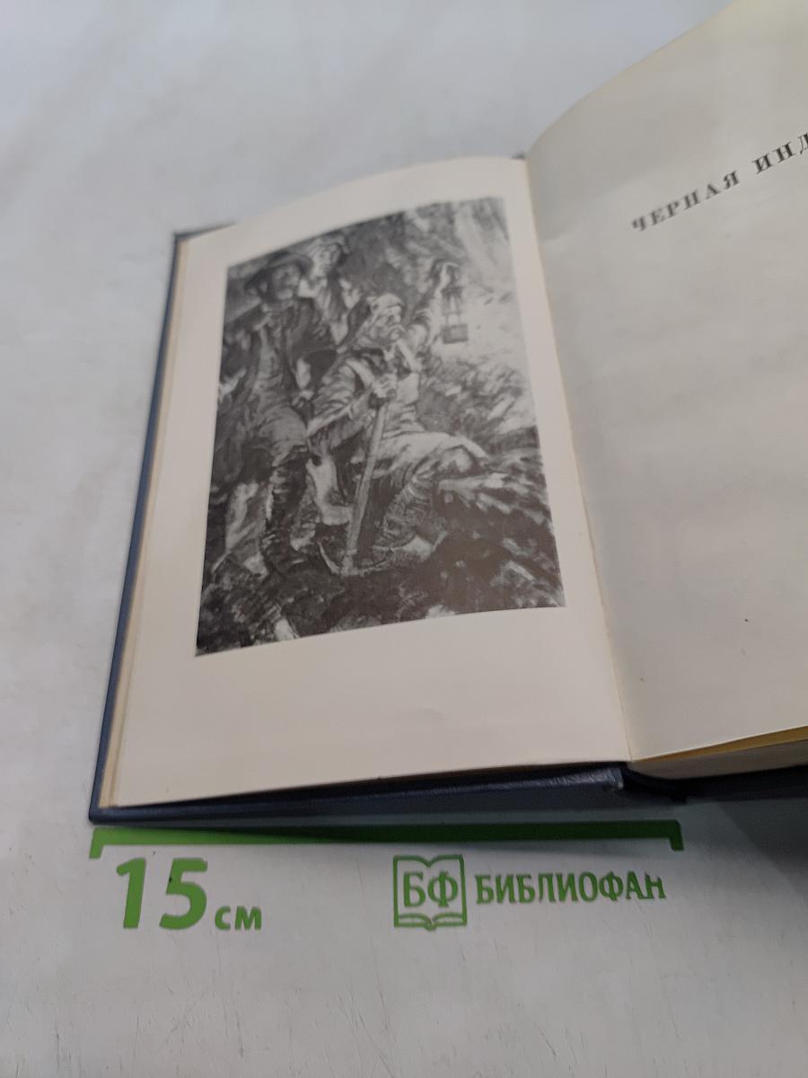 Собрание сочинений. Том восьмой. Черная Индия. Пятнадцатилетний капитан. Пятьсот миллионов бегумы