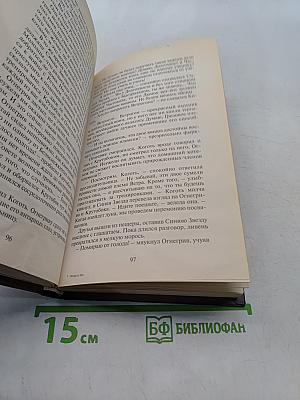 Коты-воители. Огонь и лед