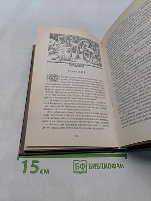 Коты-воители. Огонь и лед