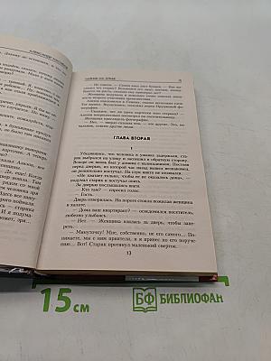 Тайник на Эльбе
