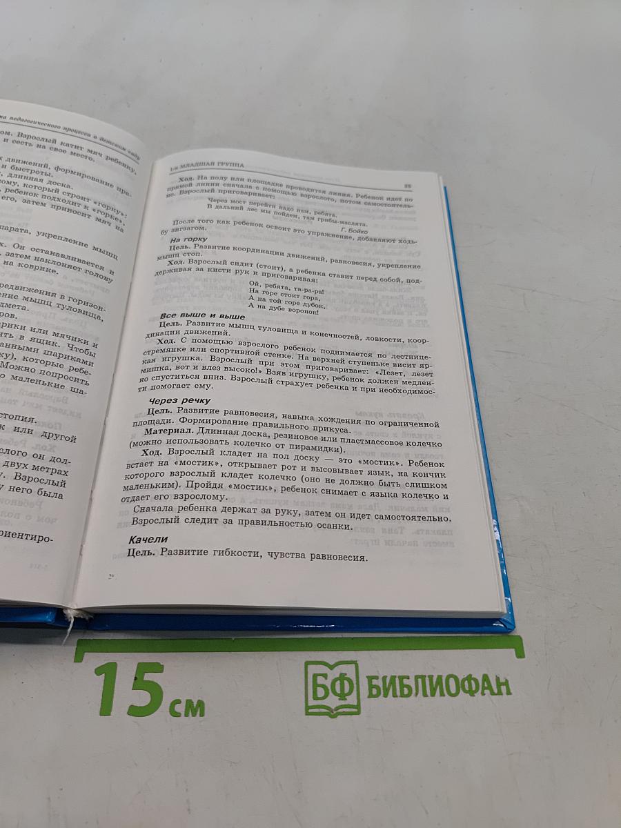 План-программа педагогического процесса в детском саду