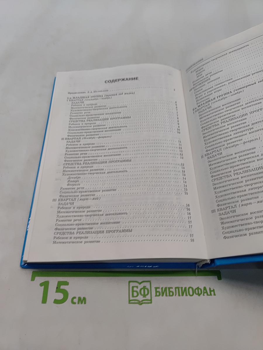 План-программа педагогического процесса в детском саду